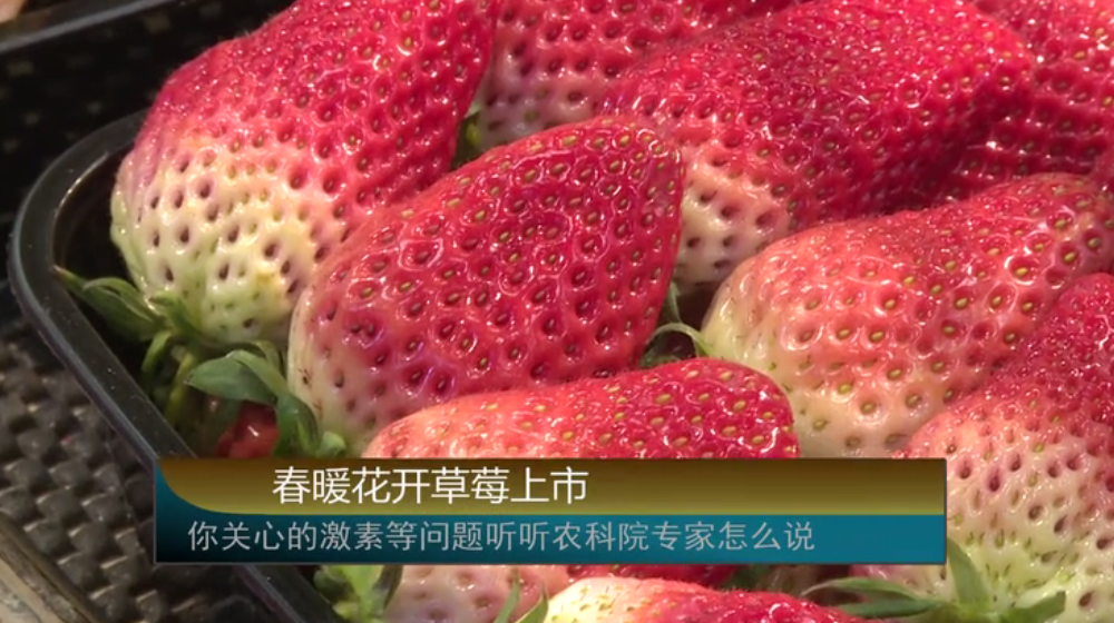 ��ů���_��ݮ���������P�ĵļ��صȆ��}  �r��Ժ������ô�f